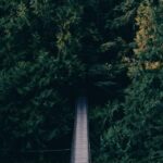 Neque alias beatae ut dicta facere autem